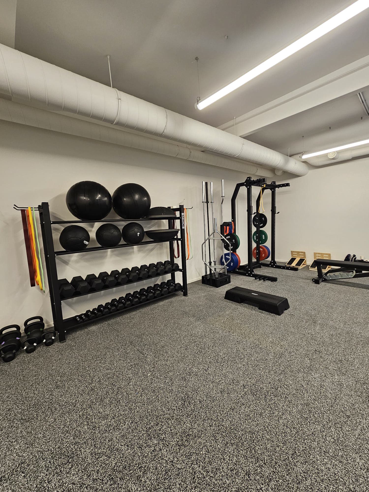 Dumbbells, kettlebells, medicine balls and squat rack
